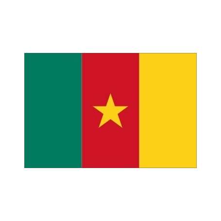 Cameroun Flag